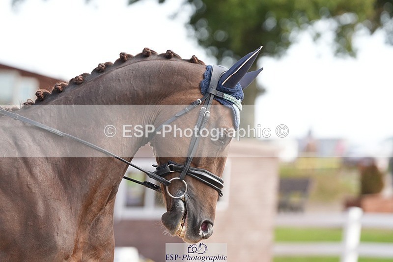 250906-104353-01550 - 006-Verity.PerryVogue