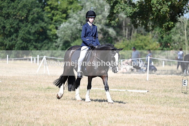 WJ7_0226 - Time 11:03 to 11:28