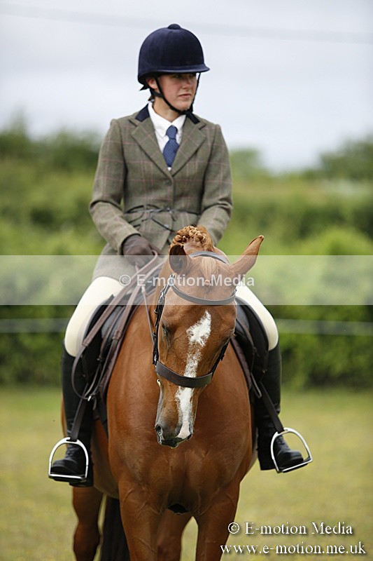 BVR160717-314 - Ring 1 BVRC Show 16/07/17