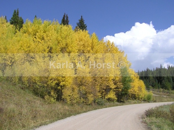 Fall on Boreas Pass - Photos