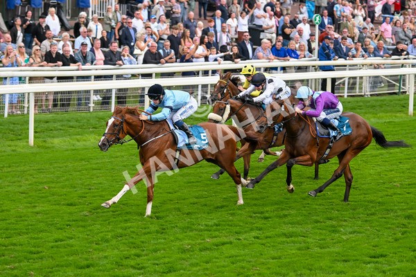080925-Race 6-Rhapsody-7788 - Race 6 5.00pm Sky Bet Build A Bet Fillies' Handicap