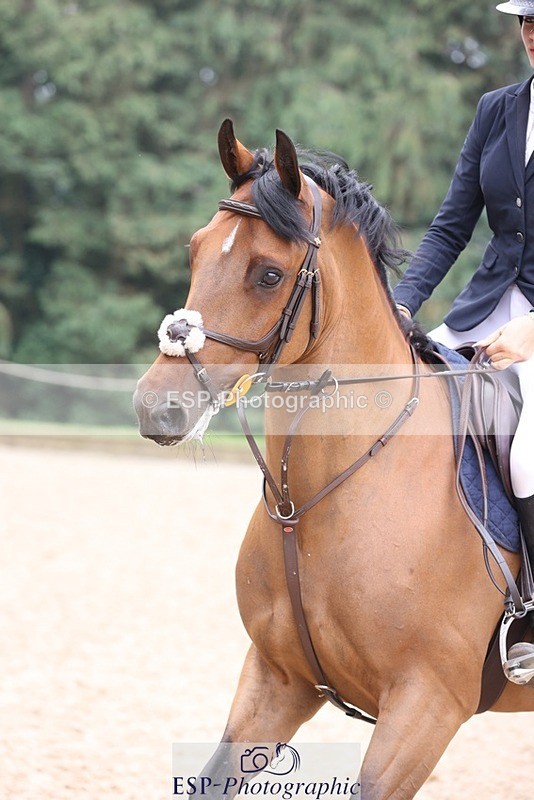 230618-103038-10166 - Cls 19 Pony Intro 1m