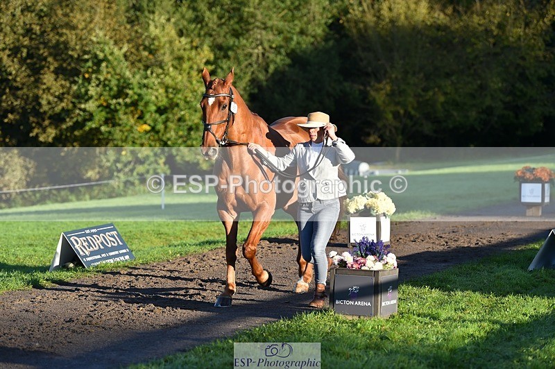 231022-090906-21588 - 656-DUNARD.RED.KNIGHT-Naomi.Watkins-TrotUp+SJ