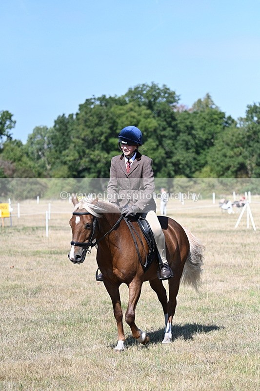 WJ7_4027 - Class 9 Mountain & Moorland Ridden