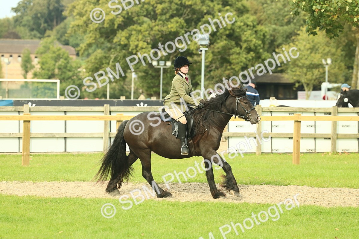 SBM_69355 - S58 - Mini Show Cob Ridden