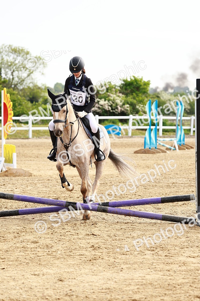 SBM_006514 - Class 1 - 40cm