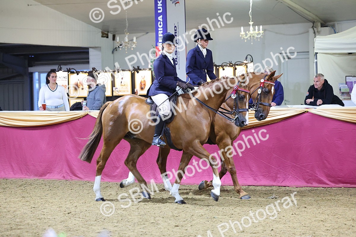 0B8A4329 - Class M Ridden Pairs Champ
