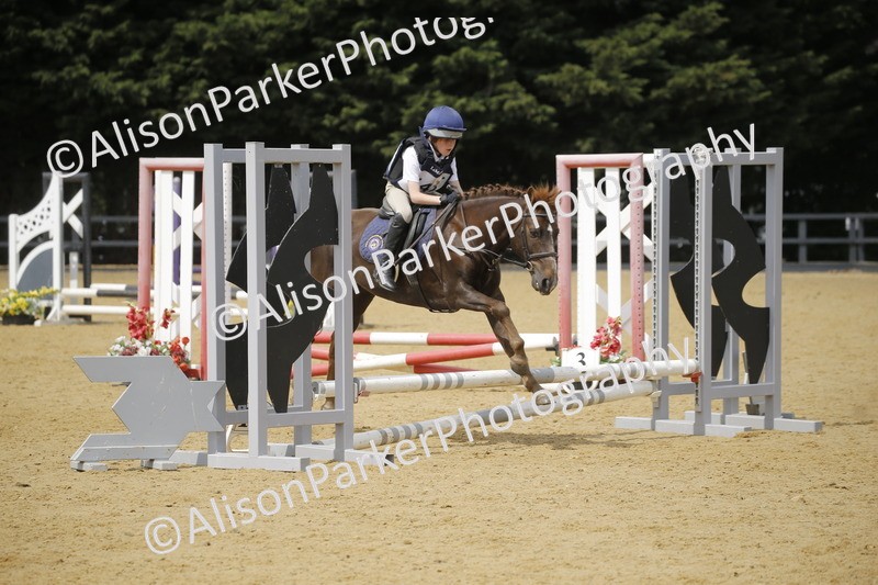 20250622-4102 - 50cm