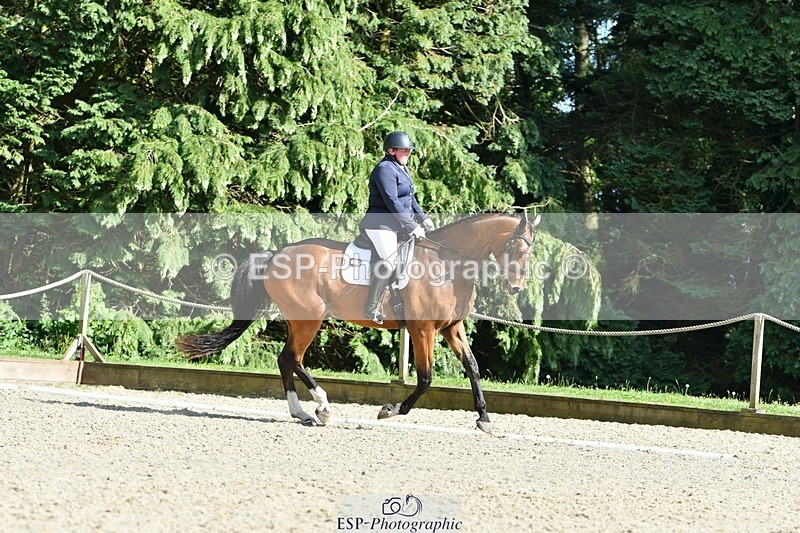 230623-172947-01541 - Cls 8 Medium 73Q