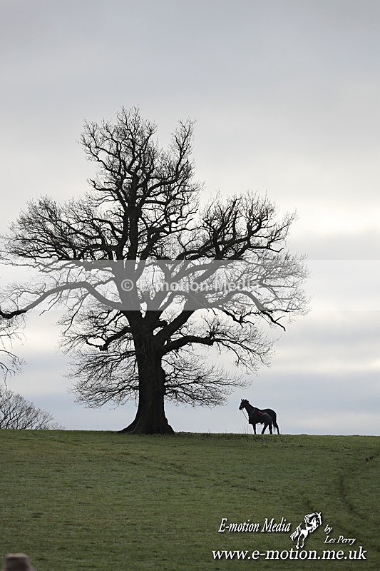 PtP 291224 61 - Harkaway Club PtP Chaddesley Corbett 29/12/24