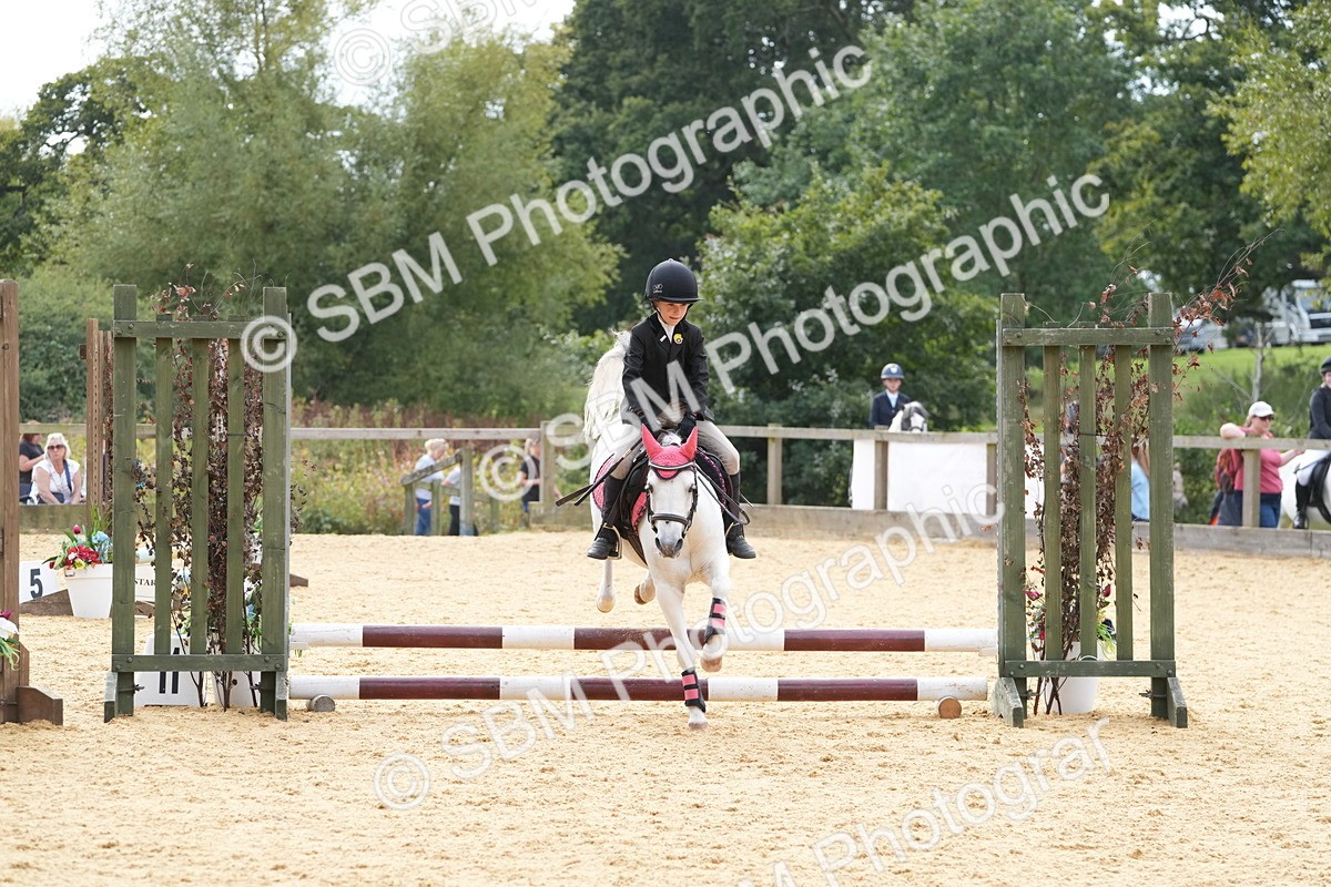 SBM_70585 - J3 - Mini Tour Junior Pony 40cm Championship
