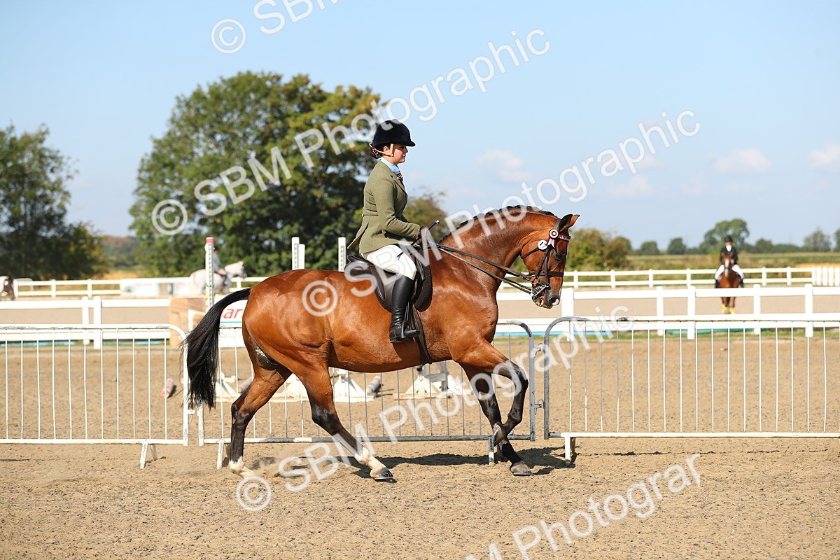 SBM_02216 - Class 43 Ridden Competition Horse/Pony