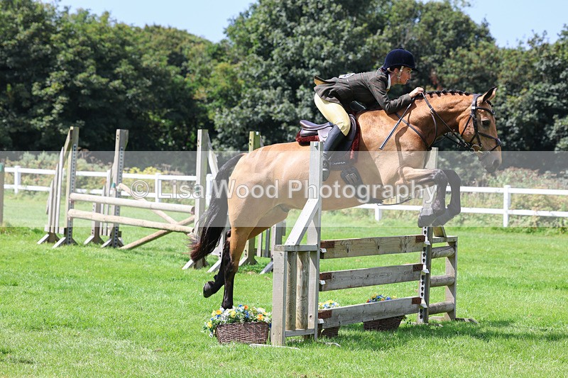 3E7A8892 - Class 6: Open Working Horse