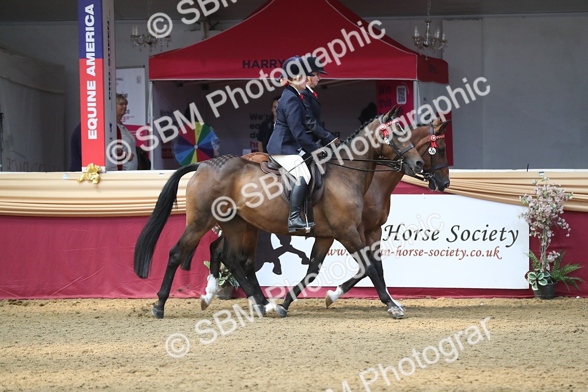 SBM_13655 - Class 109 Ridden Pairs - Section B