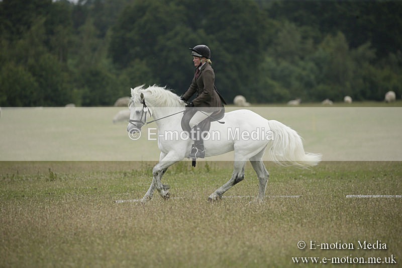 B230619-0354 - Bourne Valley Riding Club Summer Show 23/06/19