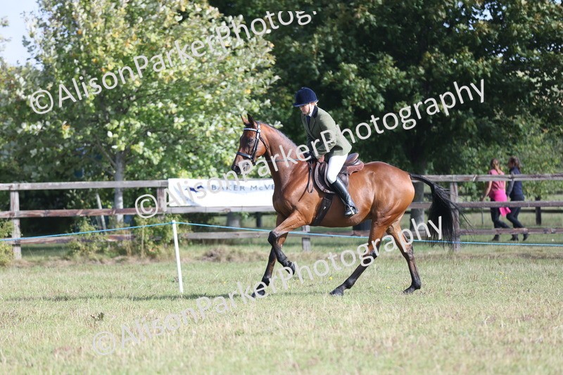 20250831-0850 - Class 14 - Ex Racehorse