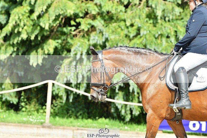 230623-163717-01374 - Cls 7 Medium 69