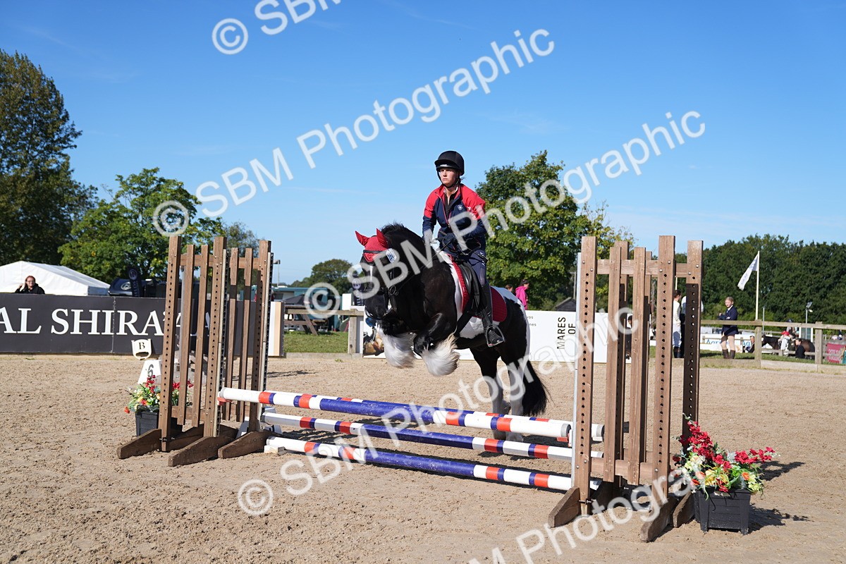 SBM_17617 - J58 - Clear Round 60cm