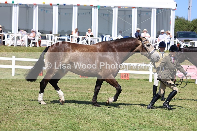3E7A7291 - Class 5: Rising Star Lightweight/Heavyweight/Maxi Cobs