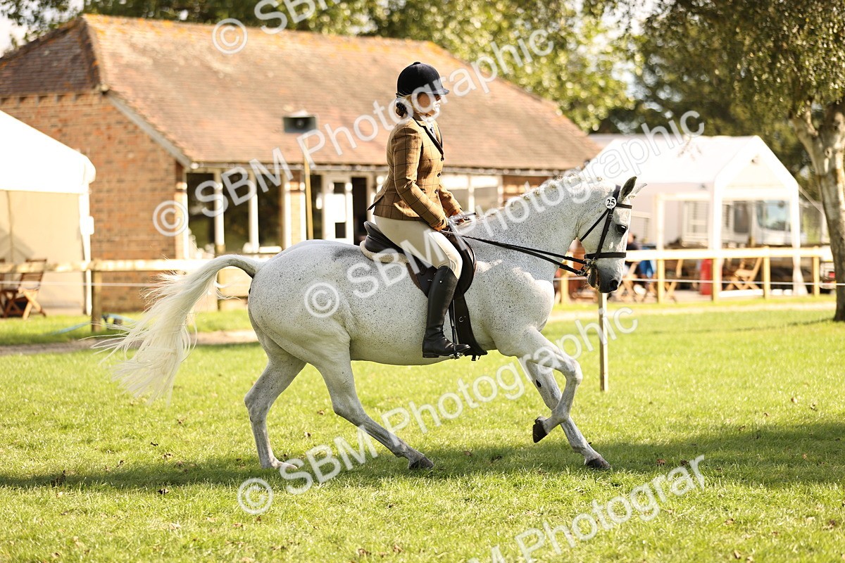 SBM_26399 - S6 - Novice & Newcomers Ridden Horse