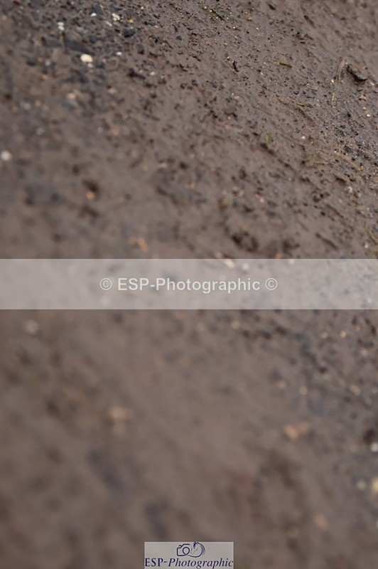 231118A-145300-03708 - Cls 27 Springboard 128cm & 138cm