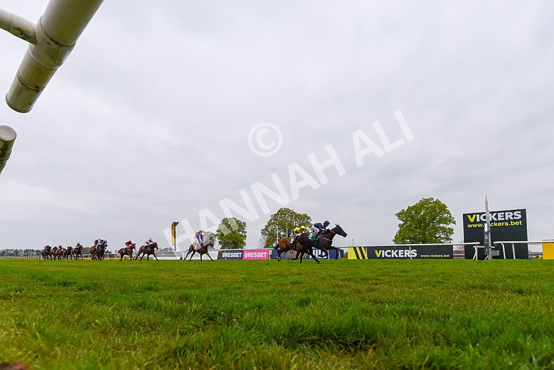 040524-Race 6-Vocal Studies-8813 - Race 6