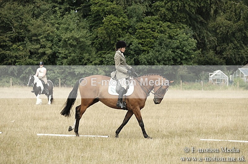 _PJP5793 - Dressage Classes BVRC Show 2018