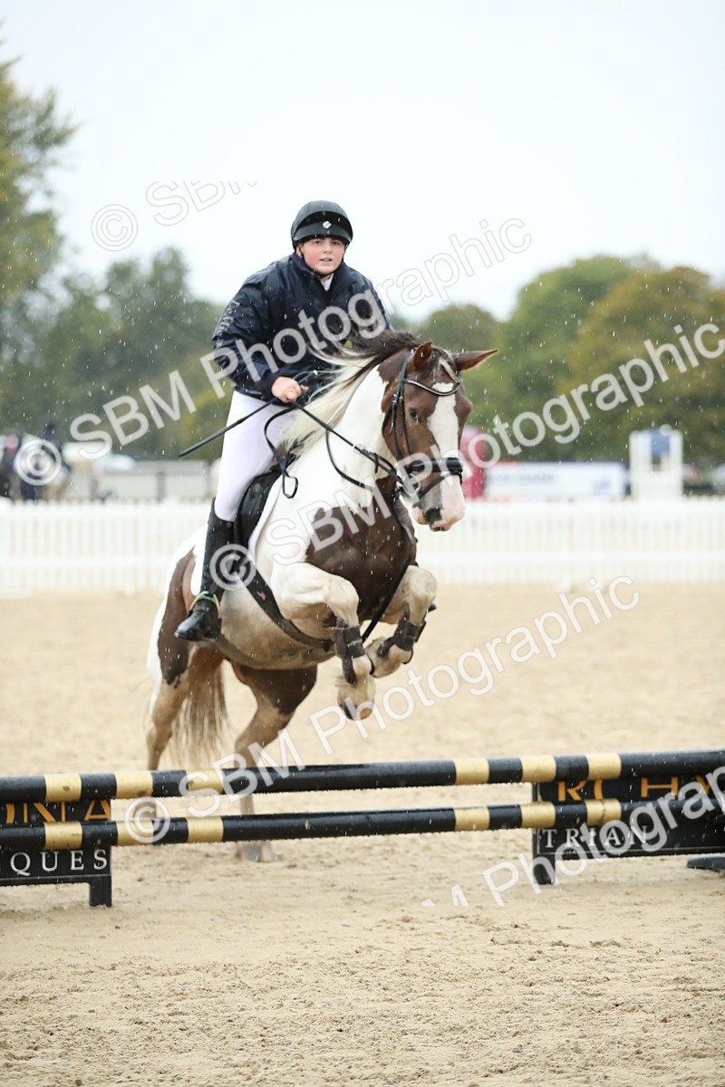 SBM_37118 - J20 - Junior Horse 50cm Championship