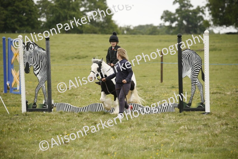 20250517-0230 - Class 1 - 30cm On Lead Rein