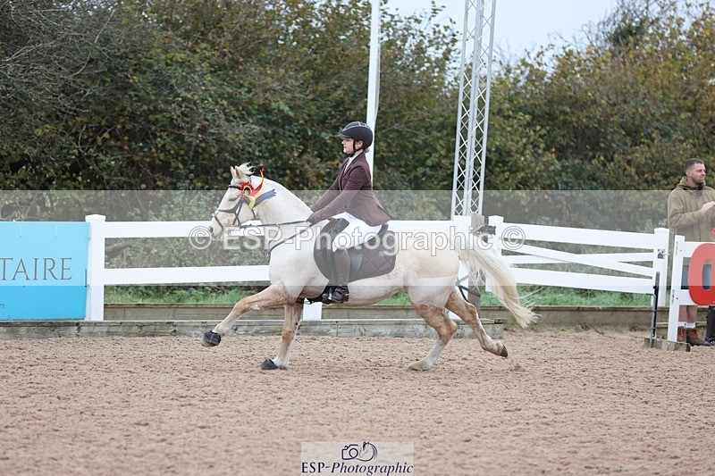 241116X-110551-01060 - Cls 08 Pony Winter Nov Champs J-O