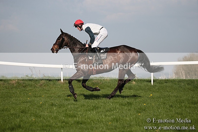 PtP 210418 571 - South & West Wilts Point-to-Point Larkhill 21/04/18