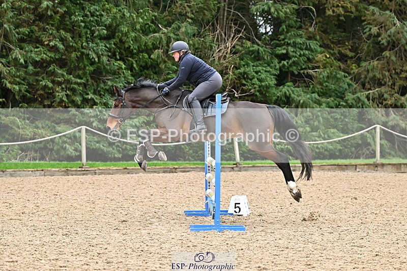 250201A-115153-00528 - Cls 02 Local Horse 100cm