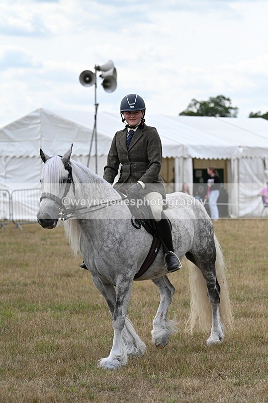 WJ7_5300 - Class 12 Ridden Cob