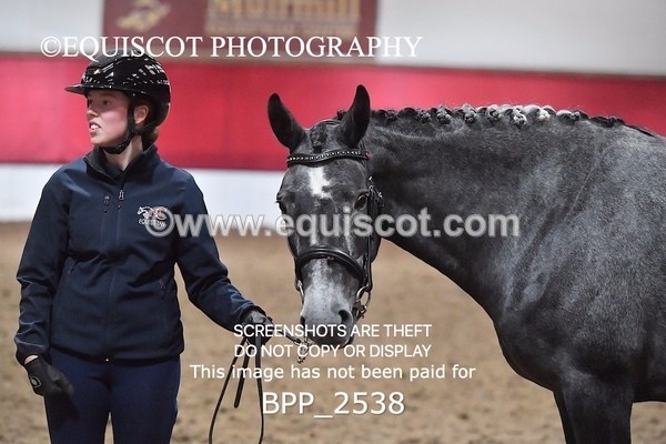 BPP_2538 - LOOSE JUMPING / SPSS