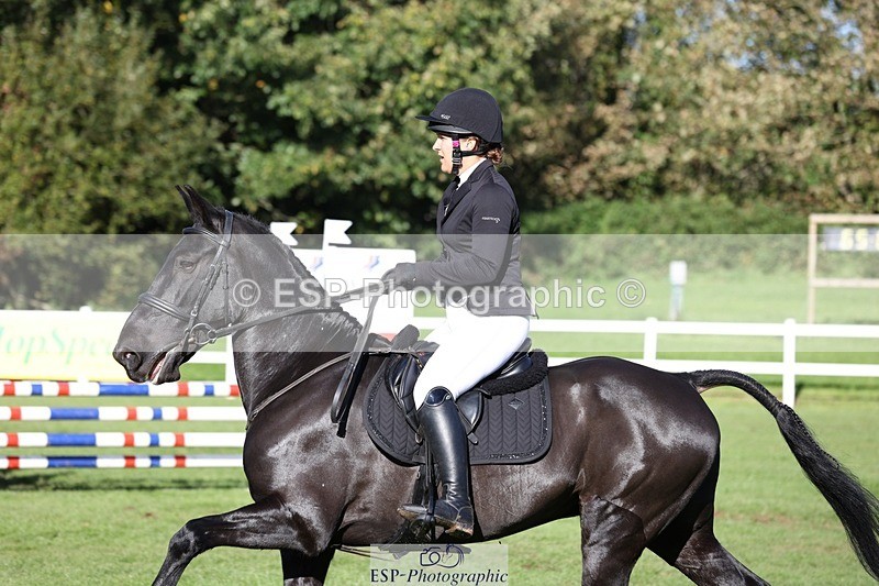 231022-143410-28215 - 505-MR.DARCY-Eleanor.Newcombe-TrotUp+SJ