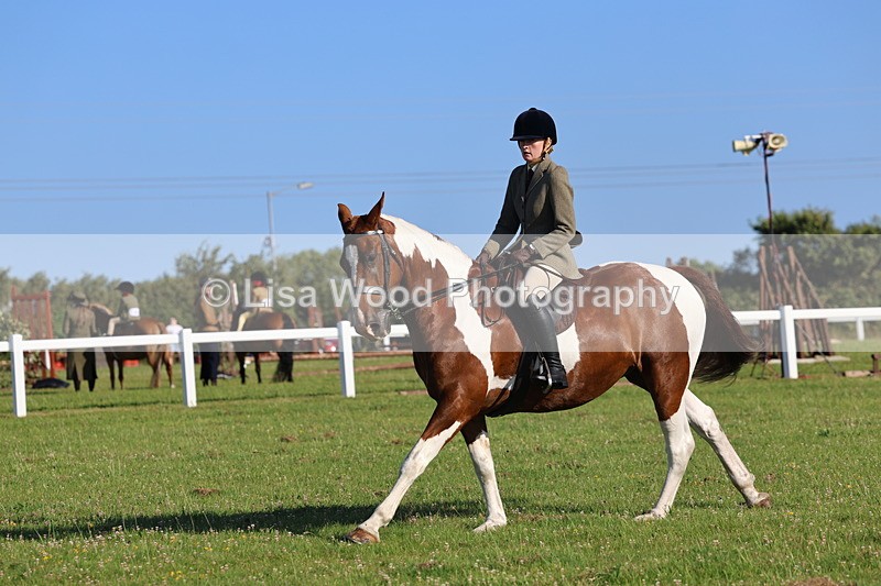 IMG_1268 - Class 27: Ridden Plaited Coloured Horse