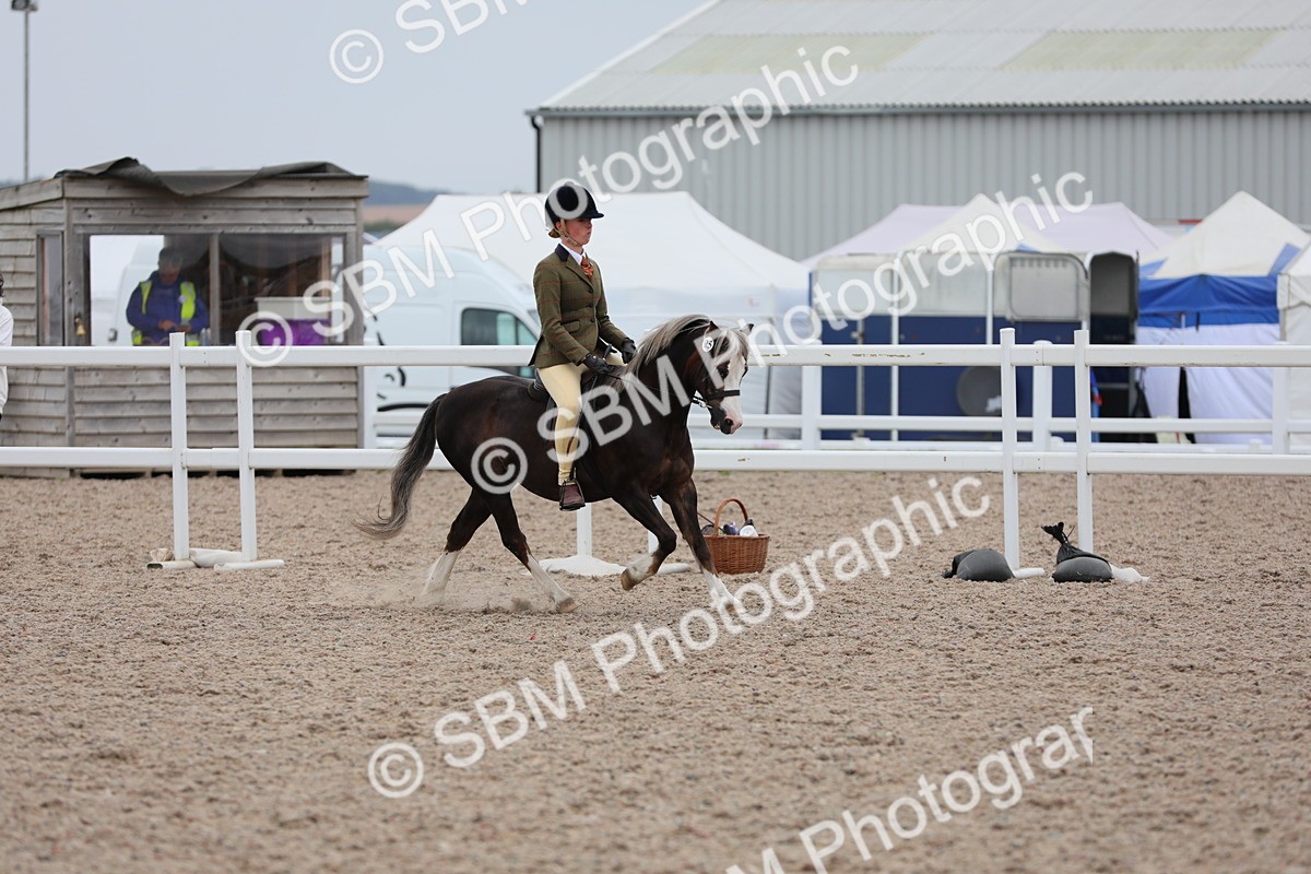 SBM_18125 - Class 316 Best Pony/Rider Combination
