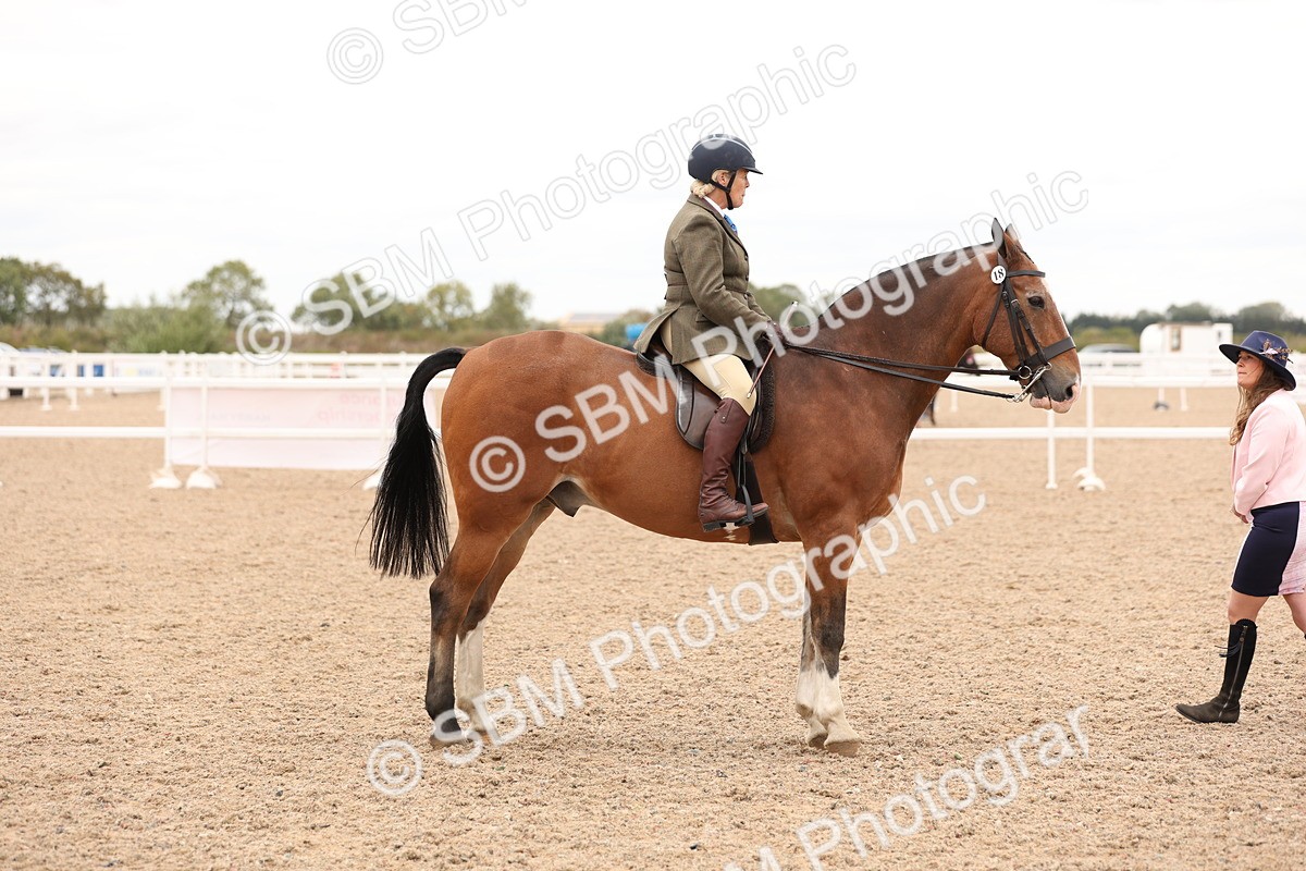 SBM_19586 - Class 215 - Ridden Show cob