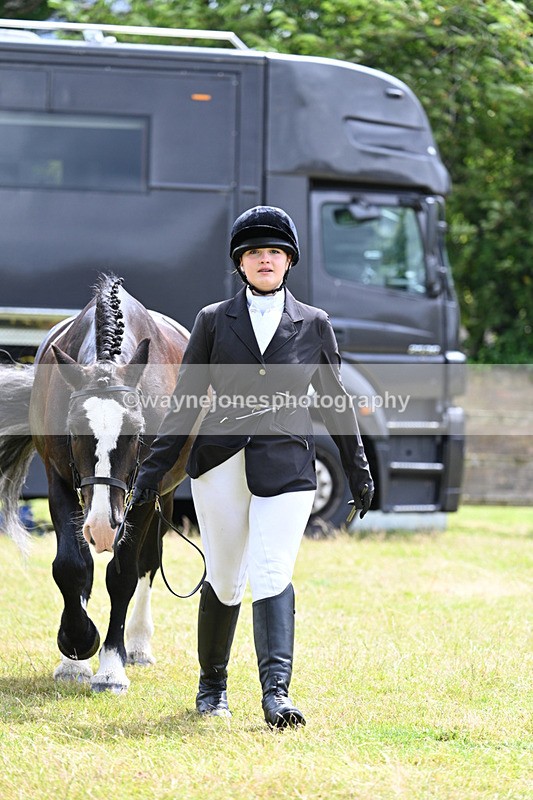 WJ7_6822 - Class 5a Most Handsome Gelding in Hand