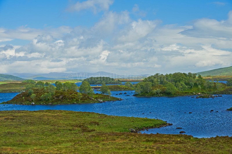  - Scotland