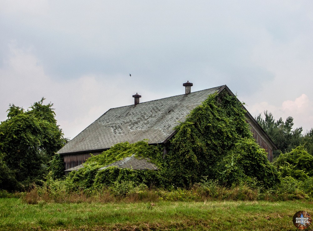 nature's delight - The Estey Farm