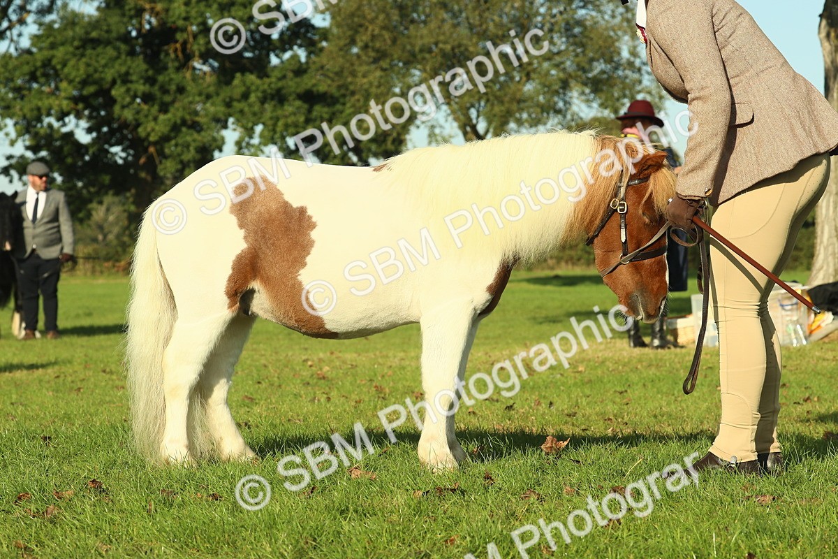 SBM_58575 - S37 - Starters In Hand Showing