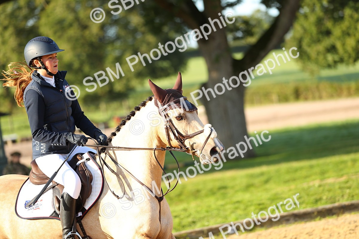 SBM_57764 - J64 - Clear Round 90cm