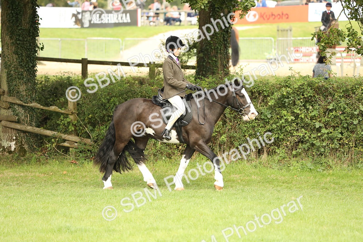 SBM_71583 - S41 - Ridden Equitation (Best Rider)