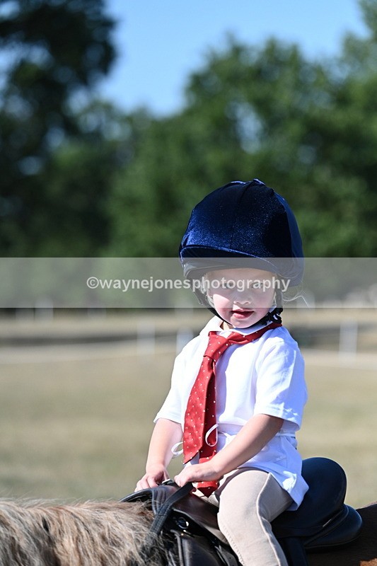WJ7_1495 - Class 42 Most Handsome Gelding