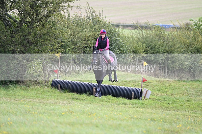 WJ6_8219 - Time 12:00 to 12:17