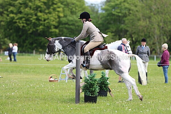 IMG_3235 - Working Hunter