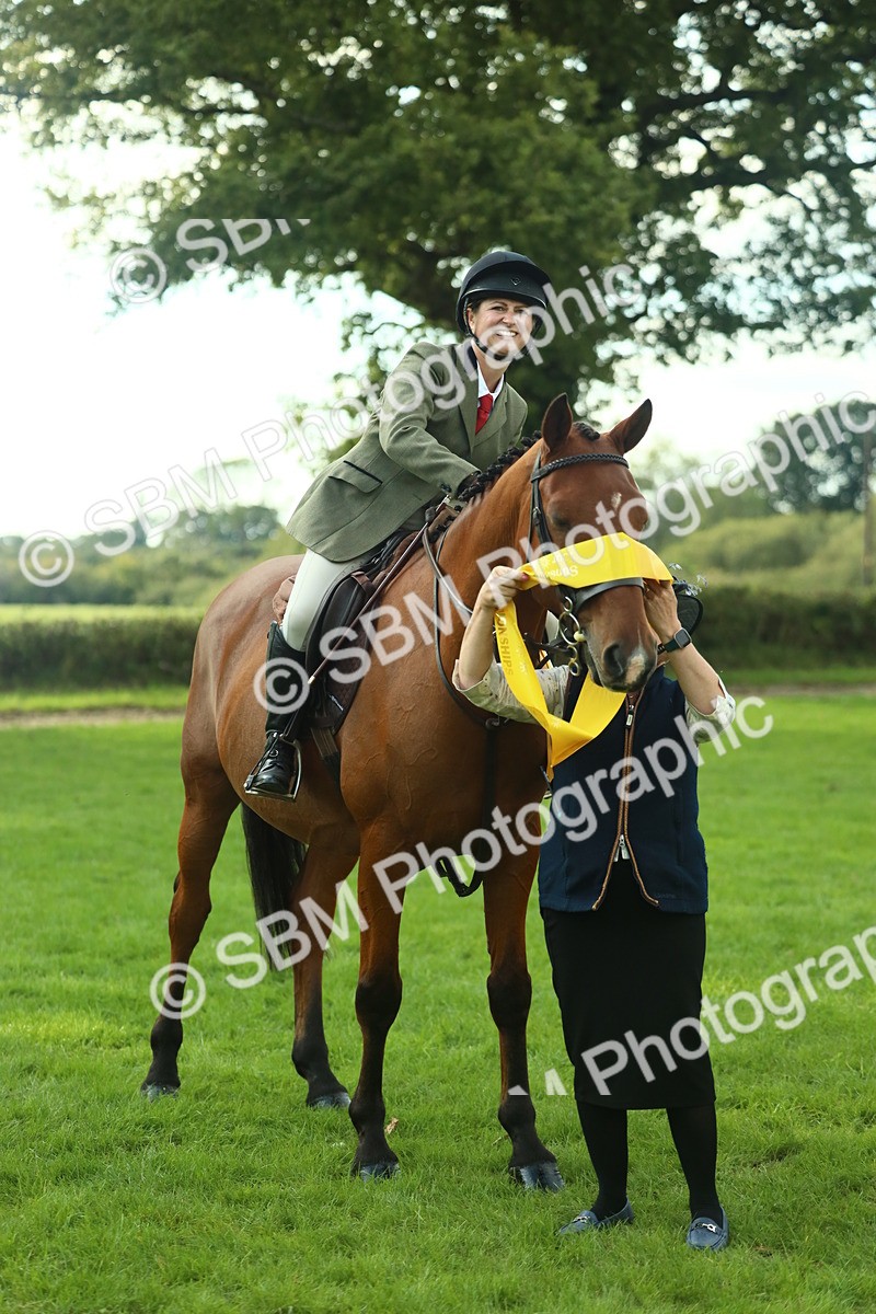 SBM_52207 - S33 - Working Hunter & Working Show Horse