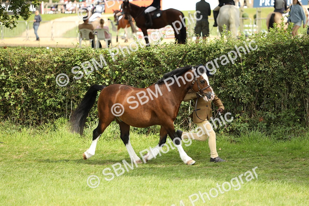 SBM_67714 - S39 - Junior Handler 8  Years & Under