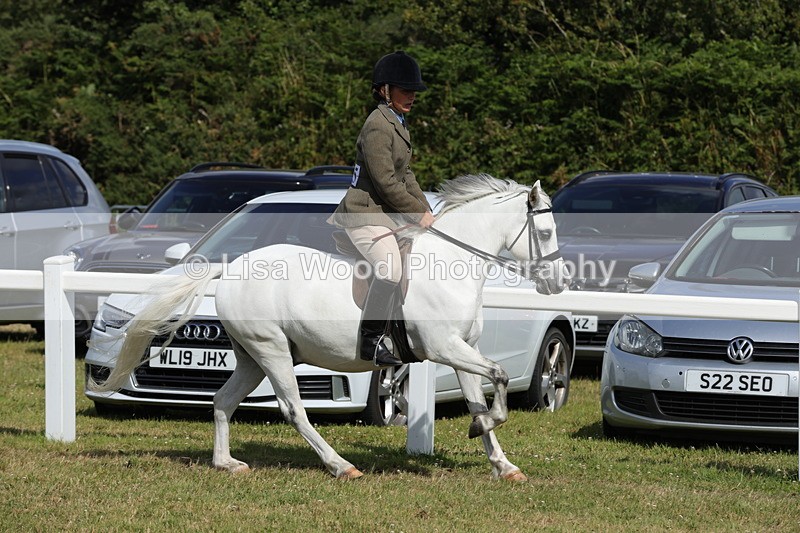 1X9A5701 - Class 40: NPS Welsh A & B